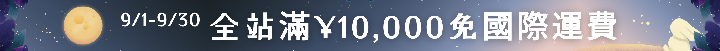 Web Banner